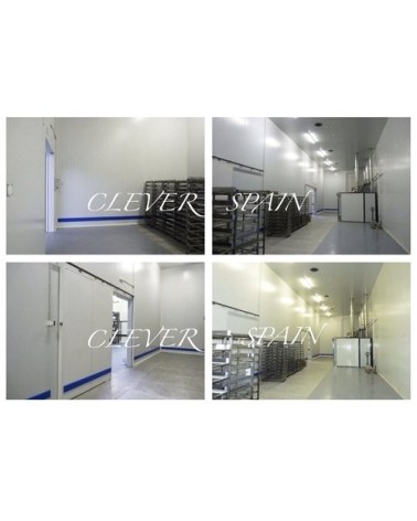 Bandas Protectoras de Paredes Antigolpes | Pack 10 uds.