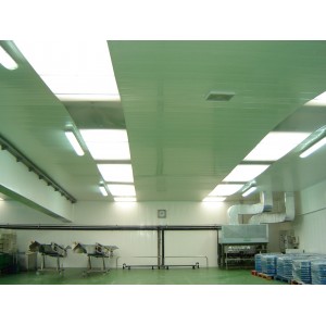 Techos Sanitarios PVC