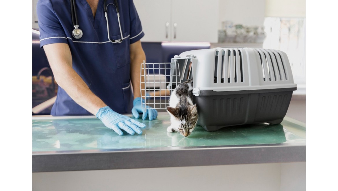 Rollos de PVC flexible: la mejor protección para mesas de trabajo